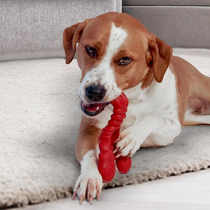 Nylabone Lobster Power Chew Toy - Image 9