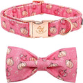 Elegant Little Tail Dog Collar by Elegantlittletail
