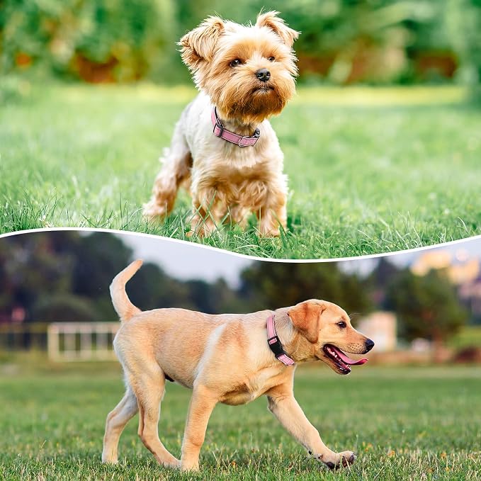 Reflective Dog Collar Padded - Image 2