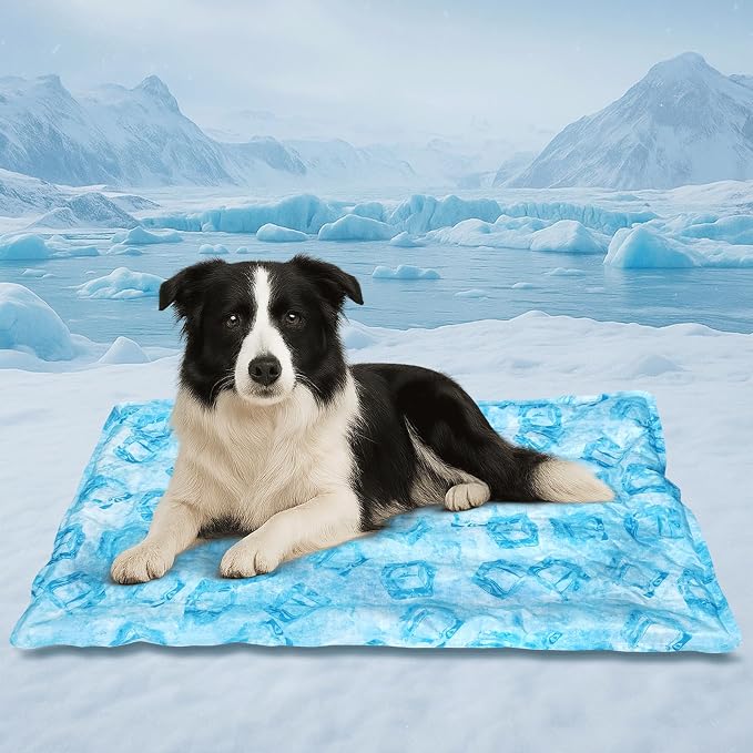Cooling Pad for Dog, Instant Pet Cool Mat for Puppy, Comfortable Cool Pet Mat by pastard
