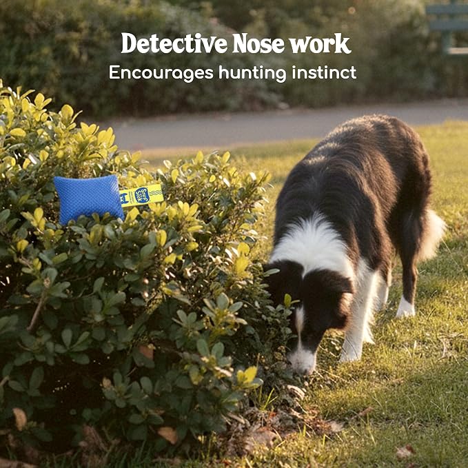 Race&Herd Original Dog Scent Training Kit, Scent Work Training Kit - Image 5