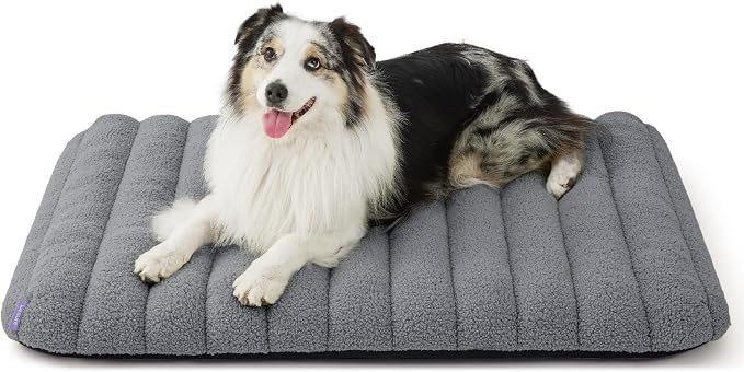 LE SURE Cute Orthopedic Dog Bed Large Sized Dog, Waterproof Chic Flat Pet Beds by Lesure