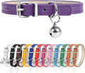 XXS Dog Collar for Teacup Adjustable Teacup Dog Collar for Small Medium Large by Engorgio
