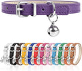 S Dog Collar for Small Dogs Adjustable Dog Collars Cat Collar for Small Medium by Engorgio
