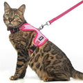 PUPTECK Cat Harness and Leash Set Escape Proof, Reflective Adjustable Soft Mesh by PUPTECK