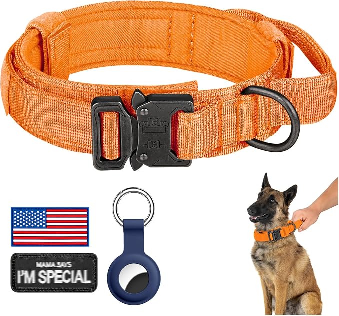 DAGANXI Tactical Dog Collar, Adjustable Military Training Nylon Dog Collar by DAGANXI