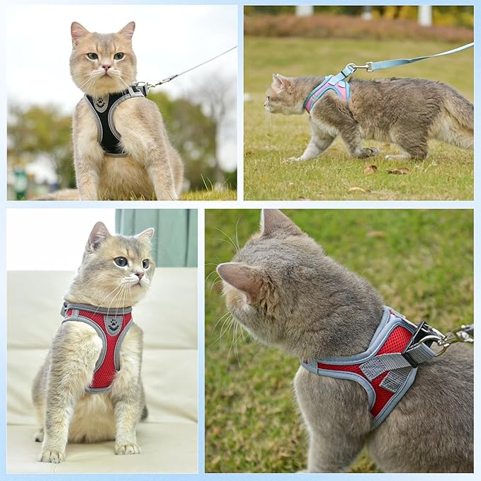 SCENEREAL Cat Harness and Leash Set Escape Proof, Adjustable Soft Air Mesh - Image 6