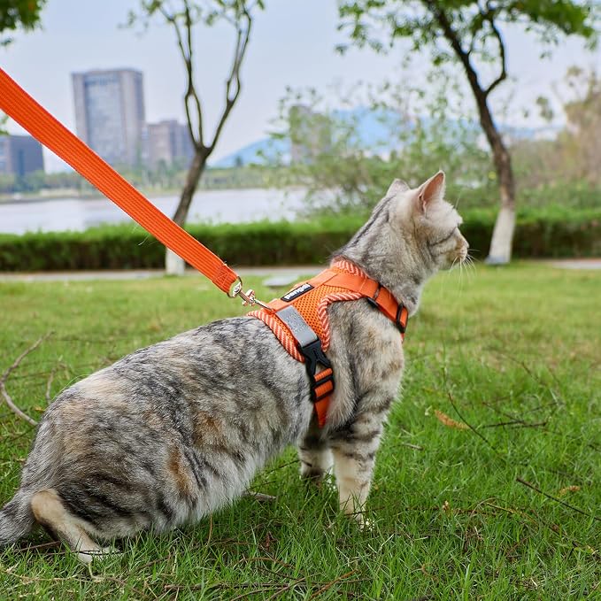 Cat Harness and Leash Escape Proof Large Kitten Harness Ragdoll Cat Vest - Image 2