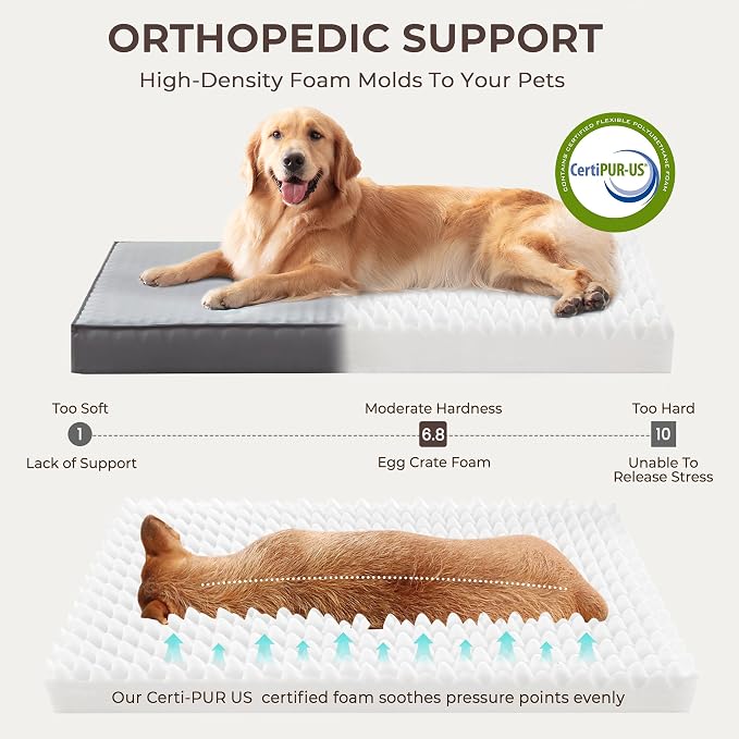 2-Pack Waterproof Dog Bed Large Size Dogs, Plush Cushion & Orthopedic Egg-Crate - Image 3