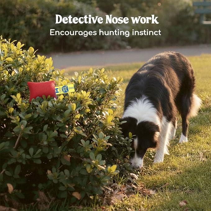 Race&Herd Original Dog Scent Training Kit, Scent Work Training Kit - Image 5