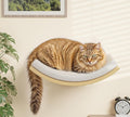Cat Wall Shelf with Curved Hammock Bed, Wall Mounted Cat Perch with Beige Soft by PELUOMOZ