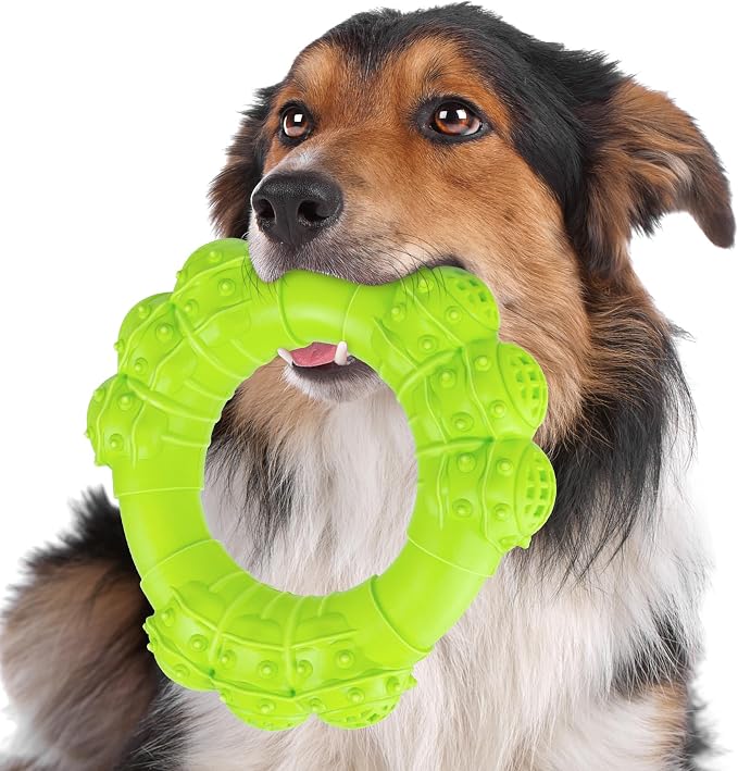 Indestructible Dog Chew Toys for Aggressive Chewers, Super Chewer Toys for by DAOZIJI