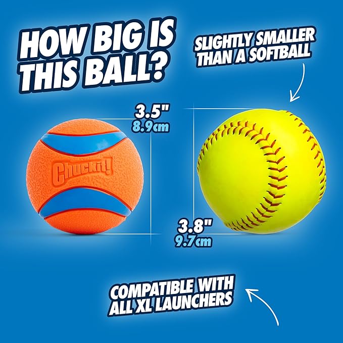 Chuckit! Ultra Ball Dog Toy - Image 5