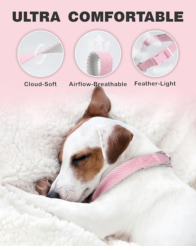 Dynmeow Soft and Breathable Cotton Dog Collar, Durable Adjustable Female Girl - Image 5