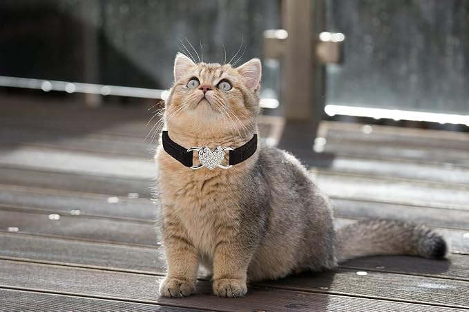 Heart Bling Cat Collar with Safety Belt and Bell Adjustable 8-10 inches - Image 5