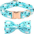 Dog Collar, Bow Collar Blue Bear Pattern Pet Collar Cute Bow Tie Soft Girl Boy by BoboRainbow