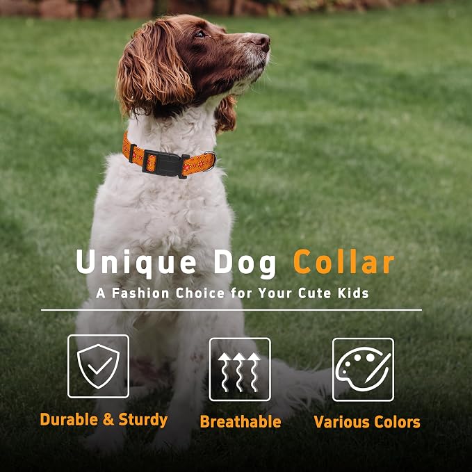 Dog Collar, Classical Indian Spirit Boys Girls Puppy Collar - Image 5