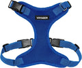 Voyager Step-in Pet Harness by BestPetSuppliesLLC