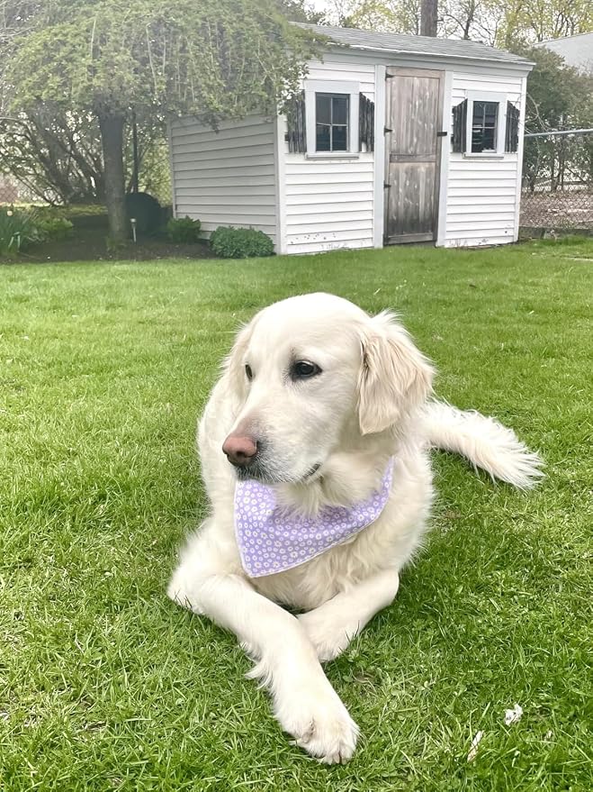 Lionet Paws Spring Daisy Dog Bandana Washable Cotton Handkerchief Scarf - Image 4
