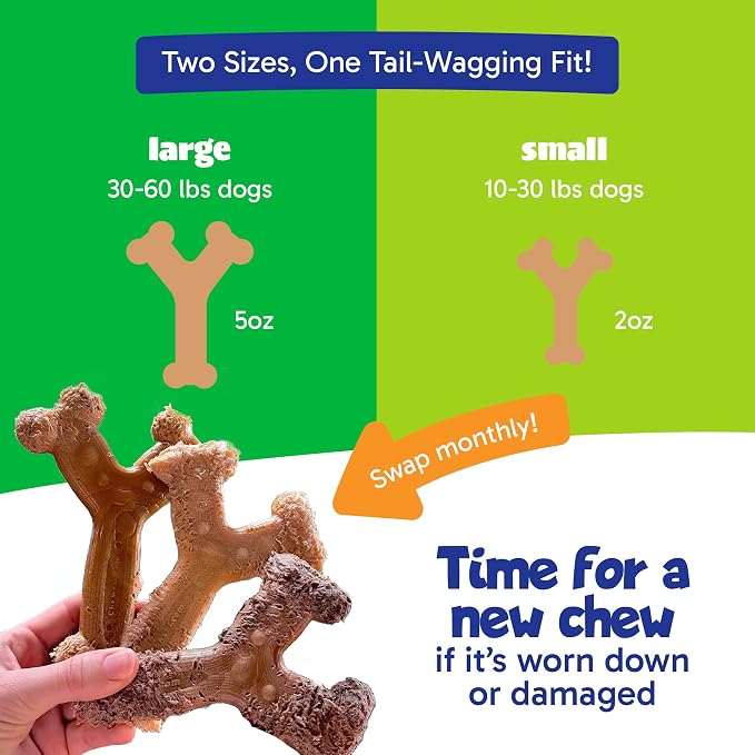 Chew'ems Durable Chew Toys for Small Dogs | Long-Lasting & Flavorful Chew Dog - Image 5
