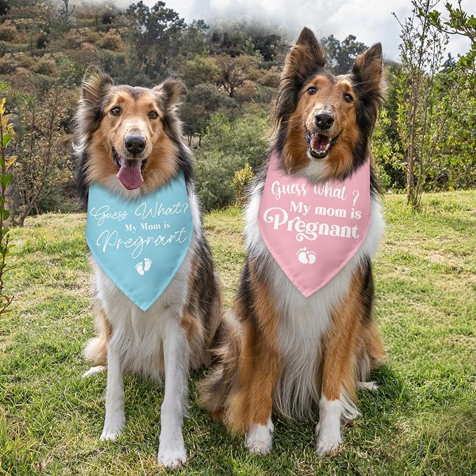 2 Packs Baby Announcements Ideas Guess What? My Mom is Pregnant Pregnancy - Image 3