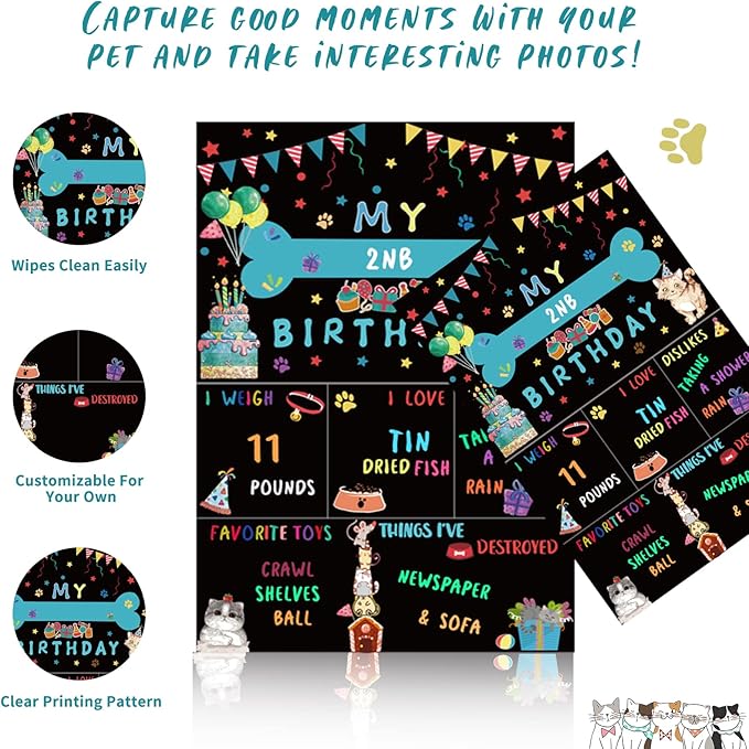Cat Kitten Birthday Bandanas Cat Birthdays Party Supplies Party Hat Boy - Image 4