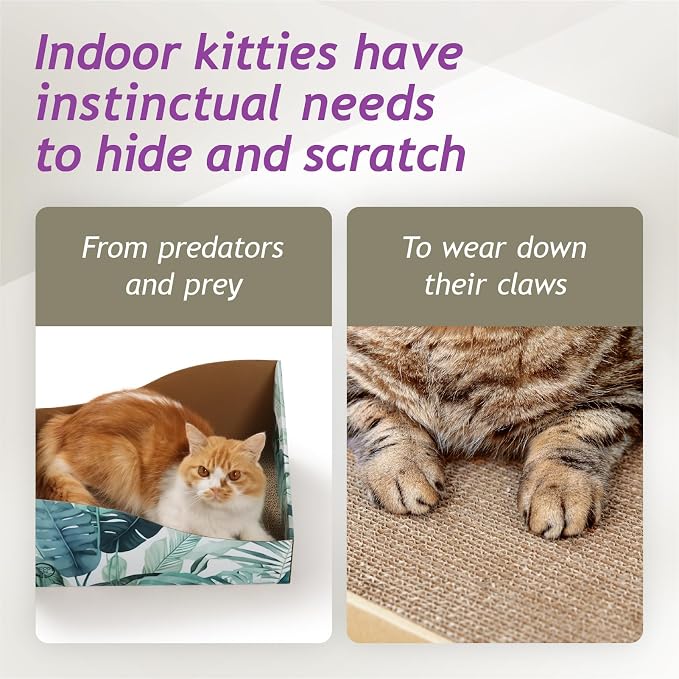 Hideaway Cat Scratcher Box for Indoor Cats - Image 4