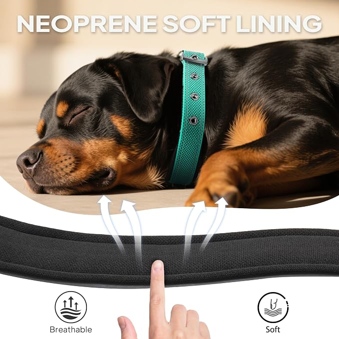 PetiFine Dog Collar for Large Dogs, Neoprene Padded and Adjustable, Reflective - Image 3