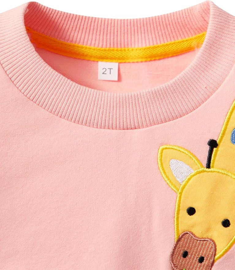 Toddler Baby Girls Cotton Sweater, Long Sleeve Crewneck Sweatshirt Pullover - Image 4