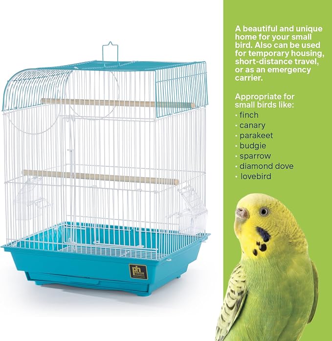 Prevue Pet Products South Beach Flat Top Bird Cage - Image 4