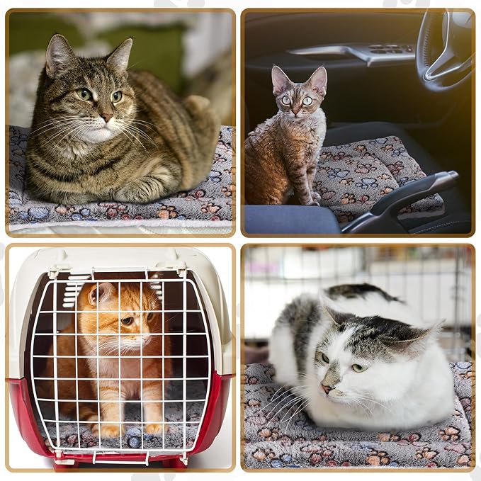 Tuanse 4 Pack Ultra Soft Dog Cat Bed Mat Small Animal Guinea Pig Bed - Image 7