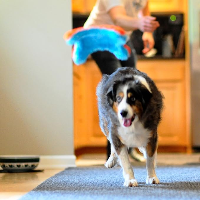 Chuckit! Indoor Fetch Squirrel Toy - Image 5