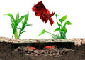 Shrimp Breeding Protector | Shrimp Breeding Cave Aquarium Tunnel | CTWPets by CTWPets