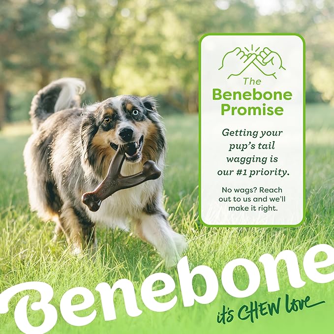 Benebone Peanut Butter Flavored Wishbone Chew Toy - Image 6