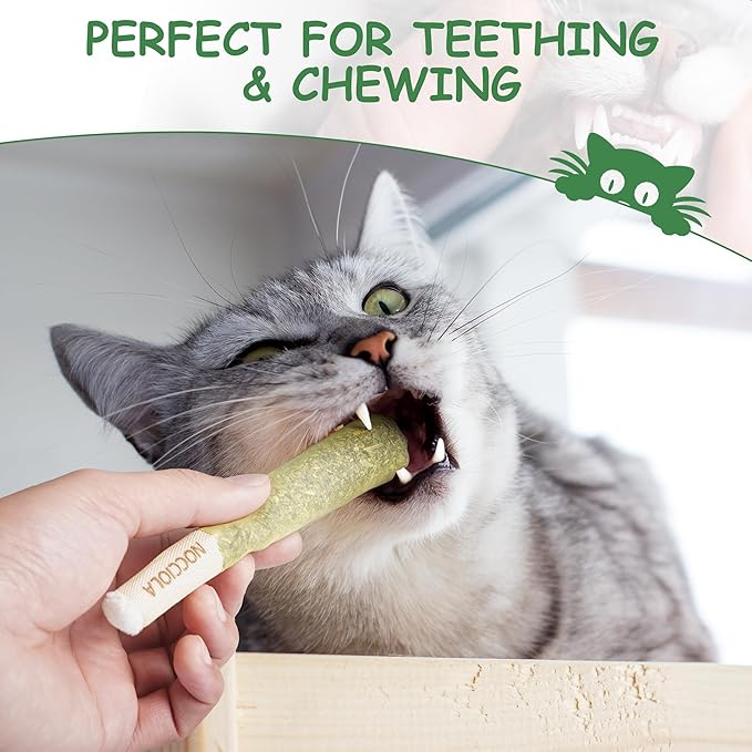 Nocciola 3 Pack Catnip Toys for Cats, Funny Cat Toys Filled - Image 5