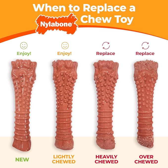 Nylabone Original Bone Power Chew Toy Value Pack - Image 9