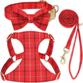 Beirui Cute Small Dog Harness Collar and Leash Set by Beirui
