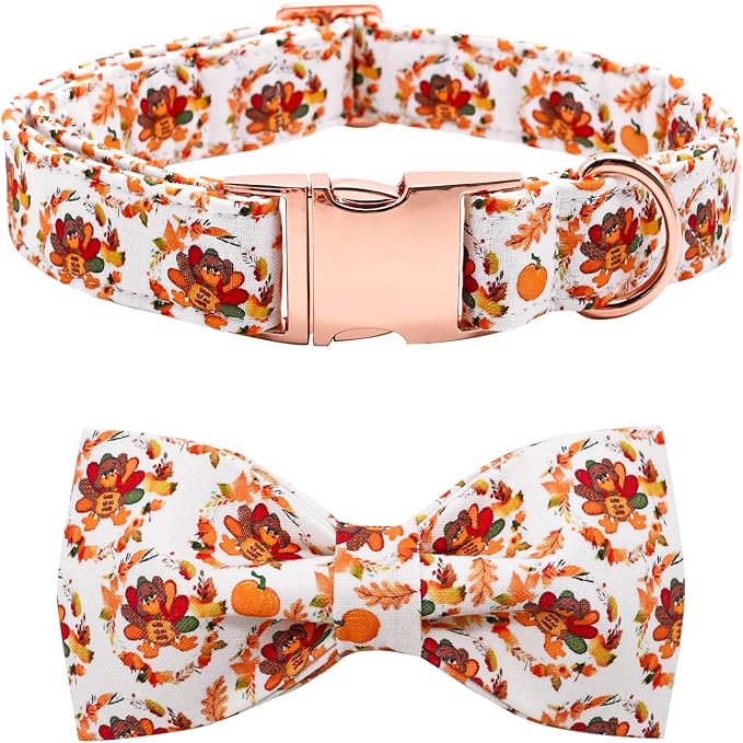 Dog Collar - Thanksgiving Turkey Pet Collar Bowtie Gift Puppy Cute Bow Collar by BoboRainbow