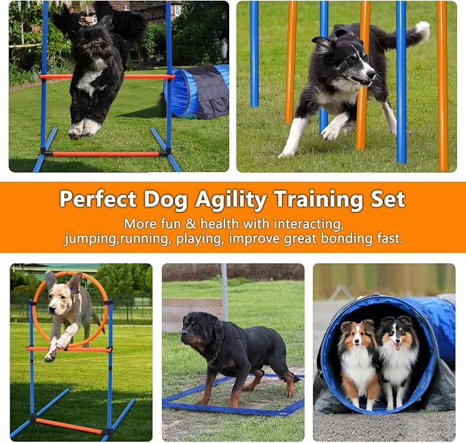Premium Dog Agility Equipment Set Outdoor Indoor Game, Tire Jump + Hurdle Jump - Image 2