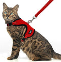 PUPTECK Cat Harness and Leash Set Escape Proof, Reflective Adjustable Soft Mesh by PUPTECK