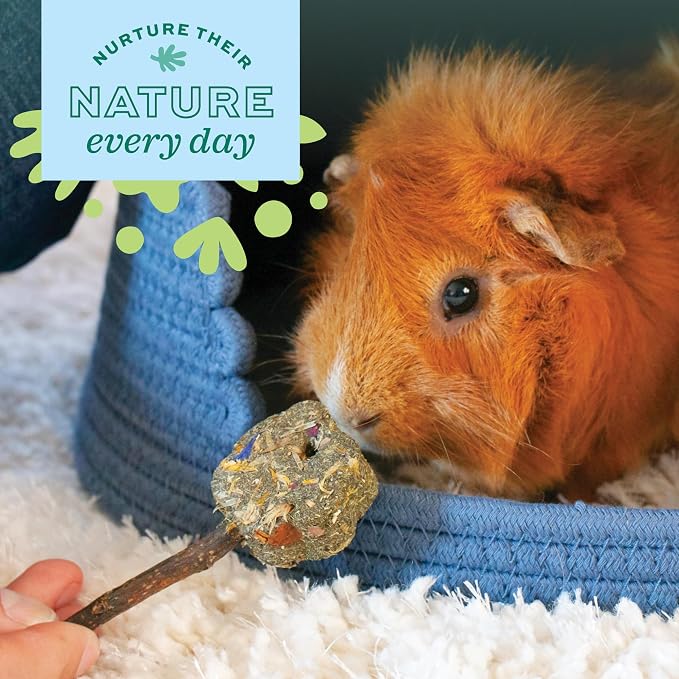 Oxbow Enriched Life Timothy Party Pack – Rabbit and Guinea Pig Toys, Chinchilla - Image 3