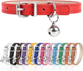 XS Dog Collar for Teacup Adjustable Teacup Dog Collar for Small Medium Large by Engorgio
