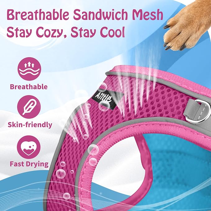 AIITLE Escape Proof Dog Harness - Image 6