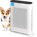 Air Purifier for Home Allergies & Pets | 4-in-1 H13 True HEPA by InvisiClean