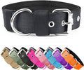 Heavy Duty Tactical Dog Collar by AaufiLux