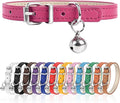 S Dog Collar for Small Dogs Adjustable Dog Collars Cat Collar for Small Medium by Engorgio