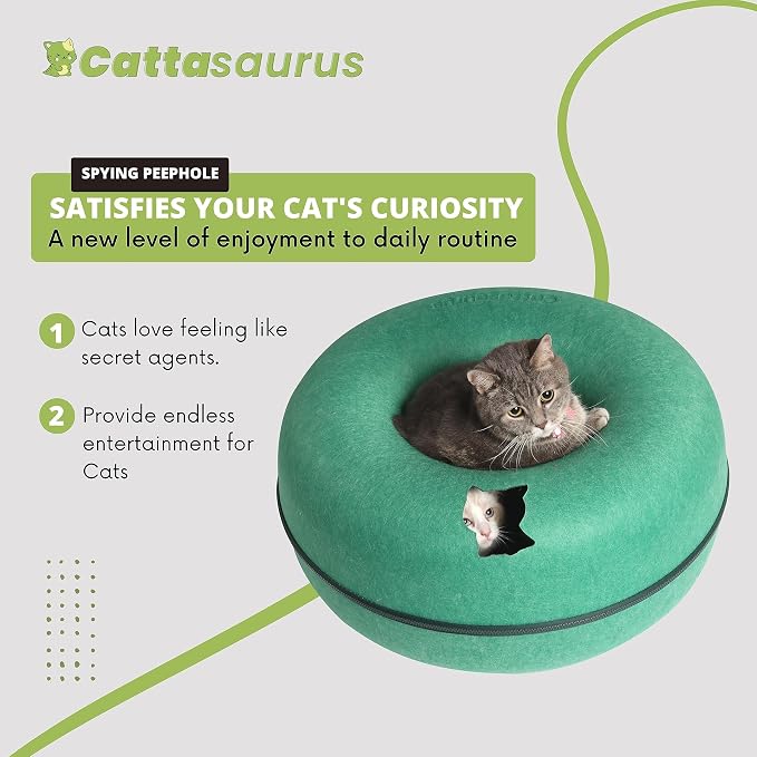 Cattasaurus Peekaboo Cat Cave Donut - Image 4
