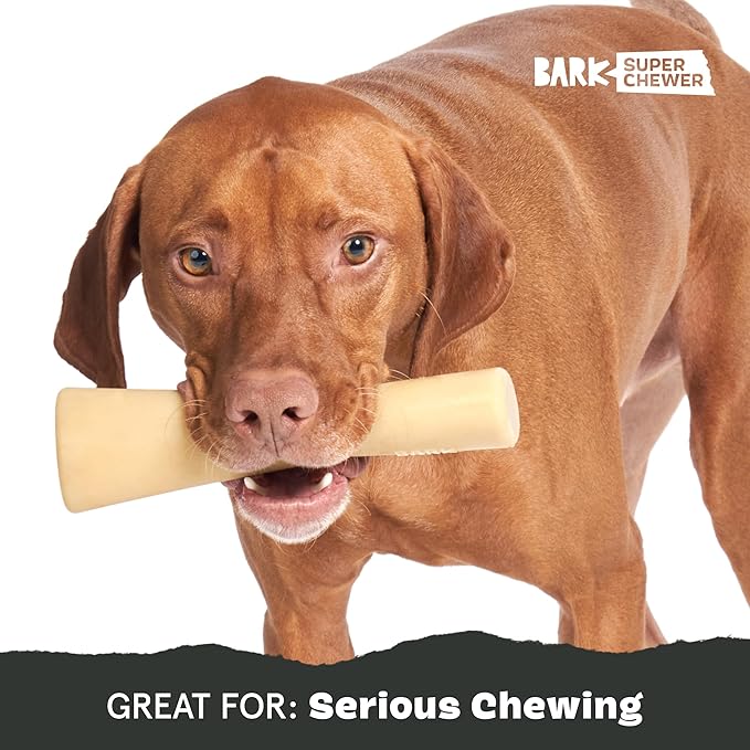 Barkbox Super Chewer Tough Dog Chew Toys - Image 5