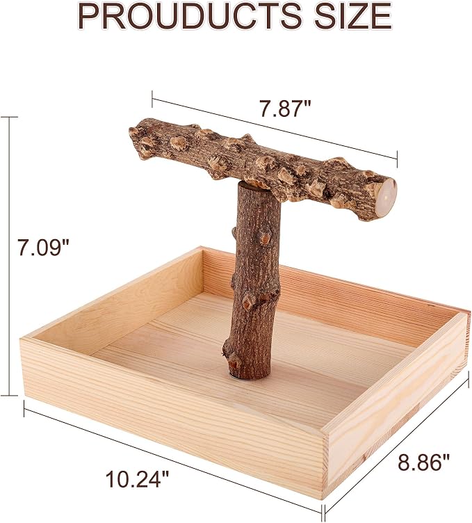 Bird Perch, Portable Tabletop Bird Stand, Training Play T Shaped Stand - Image 3