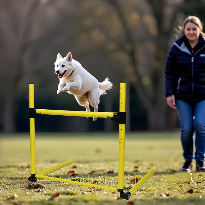 Adjustable Height Hurdles Training Equipment, Indoor & Outdoor Detachable - Image 8